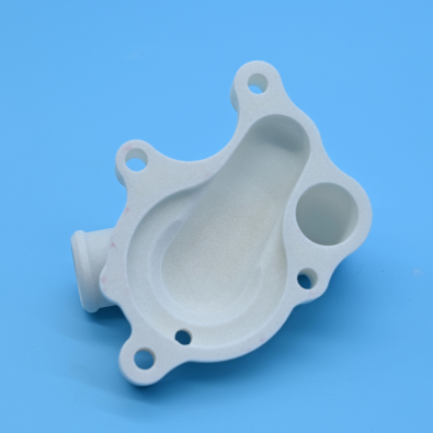 3D printed valve component printed in laser sintering technology material pagf